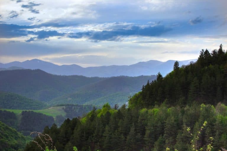 Dilijan national Park
