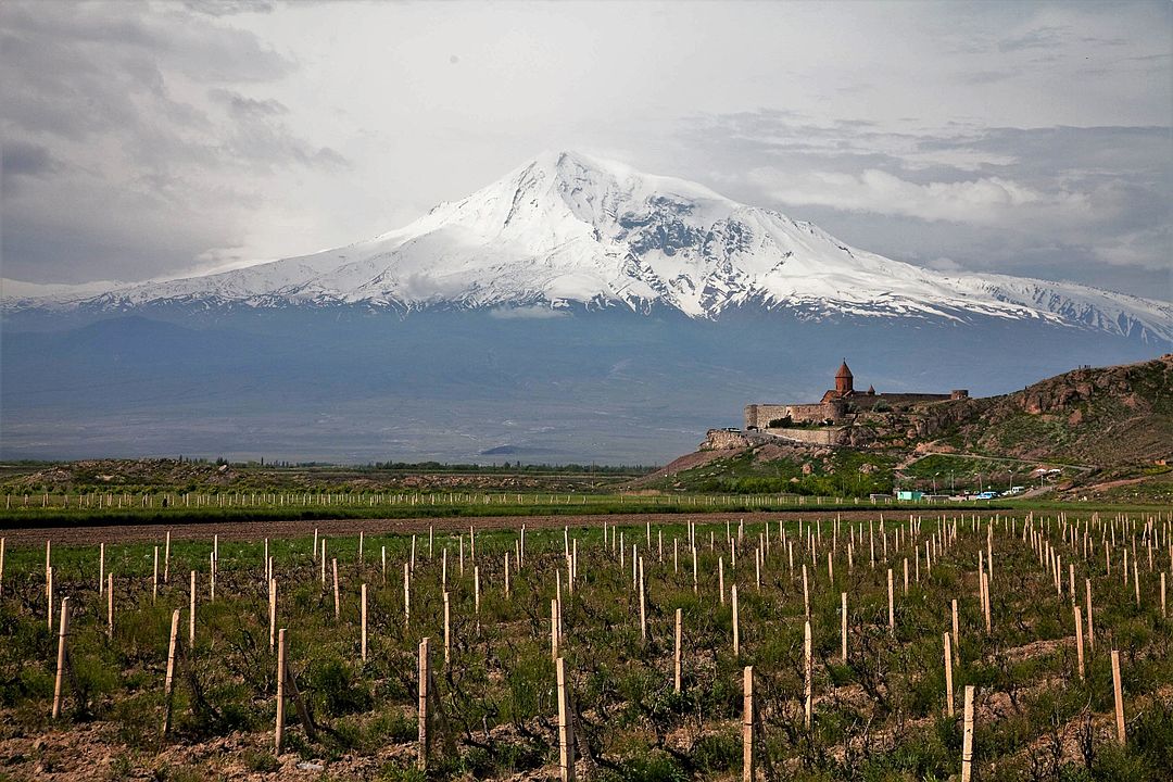 Vineyards of Ararat region of Armenia