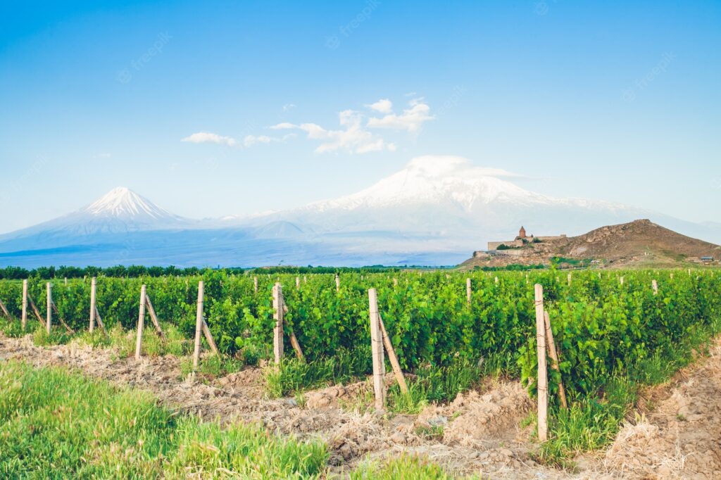 ararat valley